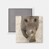 Aimant Rhino (Recto/Verso)