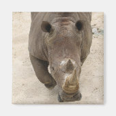 Aimant Rhino (Devant)