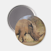 Aimant Rhino (Recto/Verso)