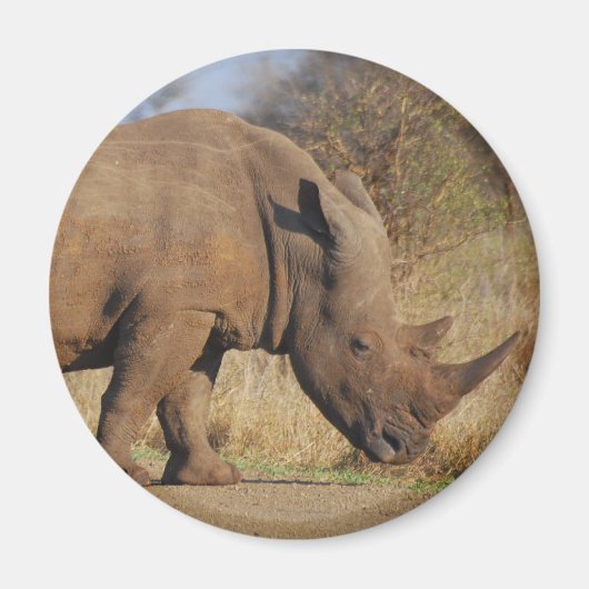 Aimant Rhino (Devant)