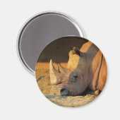 Aimant Rhino dans l'aimant Sunset (Recto/Verso)