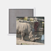 Aimant Rhinocéros (Recto/Verso)