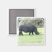 Aimant rhinocéros (Recto/Verso)