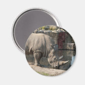 Aimant Rhinocéros (Recto/Verso)