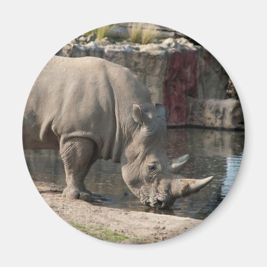 Aimant Rhinocéros (Devant)