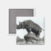 Aimant Rhinoceros (Recto/Verso)