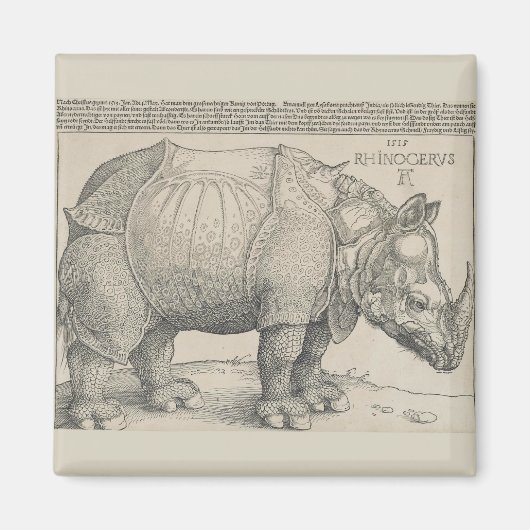 Aimant Rhinoceros, coupe de bois par Albrecht Durer (Devant)