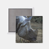 Aimant Rhinoceros indien (Recto/Verso)