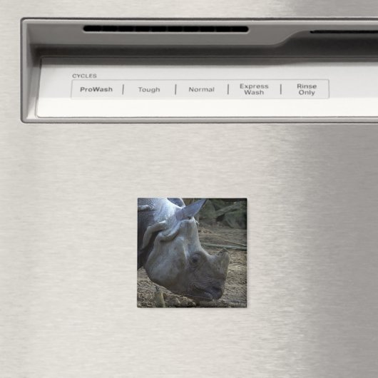 Aimant Rhinoceros indien (In Situ (Lave-vaisselle))