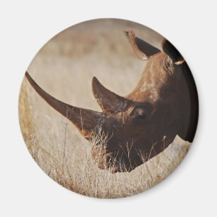 Aimant Rhinocéros noir africain avec de grands klaxons