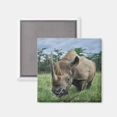 Aimant Rhinocéros noir | Kenya (Recto/Verso)