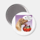 Aimant Rhodesian Ridgeback Halloween Candy (Recto/Verso)