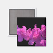 Aimant Rhododendron (Recto/Verso)
