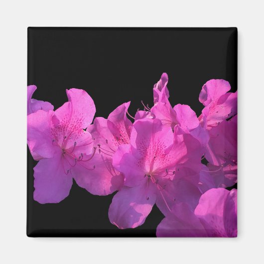 Aimant Rhododendron (Devant)