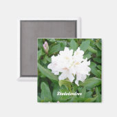 Aimant Rhododendron blanc (Recto/Verso)