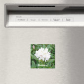 Aimant Rhododendron blanc (In Situ (Lave-vaisselle))