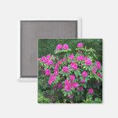 Aimant Rhododendron de forêt (Recto/Verso)