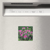 Aimant Rhododendron de forêt (In Situ (Lave-vaisselle))