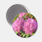 Aimant Rhododendron II (Recto/Verso)