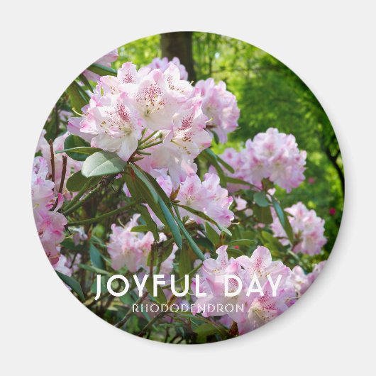 Aimant Rhododendron "Joyful Day" (Devant)