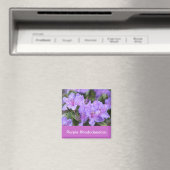 Aimant rhododendron pourpre (In Situ (Lave-vaisselle))