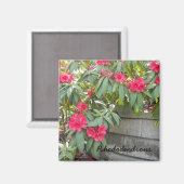 Aimant Rhododendrons rouges (Recto/Verso)