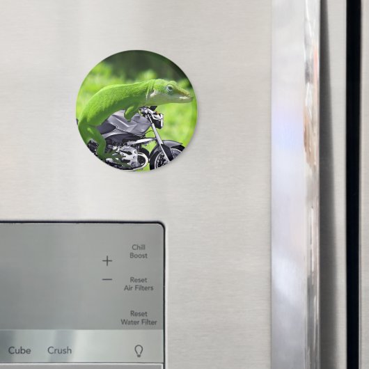 Aimant Rider Hawaiian Gecko (In situ (réfrigérateur))