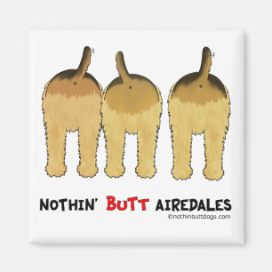 Aimant Rien n'aboutent des Airedales