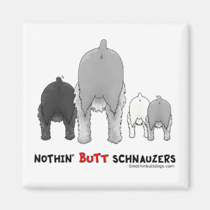 Aimant Rien n'aboutent des Schnauzers