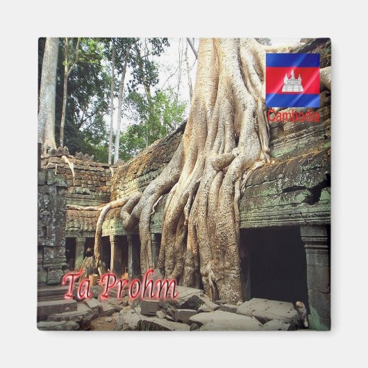 Aimant Rif. KH Cambodge, Ta Prohm, (Devant)