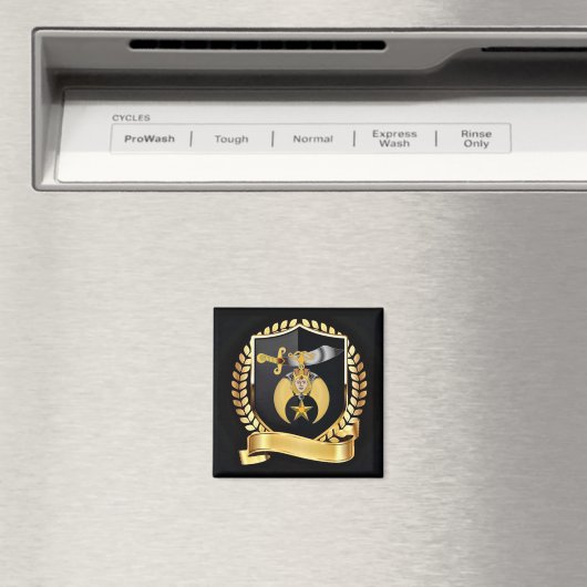 Aimant Rince (In Situ (Lave-vaisselle))