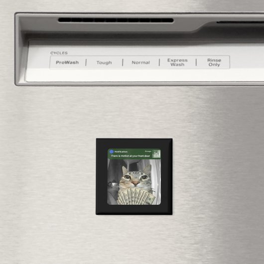 Aimant Ring Cat With Motion Meme  (In Situ (Lave-vaisselle))