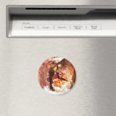 AIMANT RIVER SPIRIT (In Situ (Lave-vaisselle))