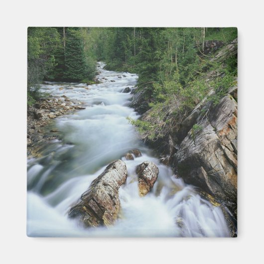 Aimant Rivière Crystal, forêt nationale de Gunnison, (Devant)