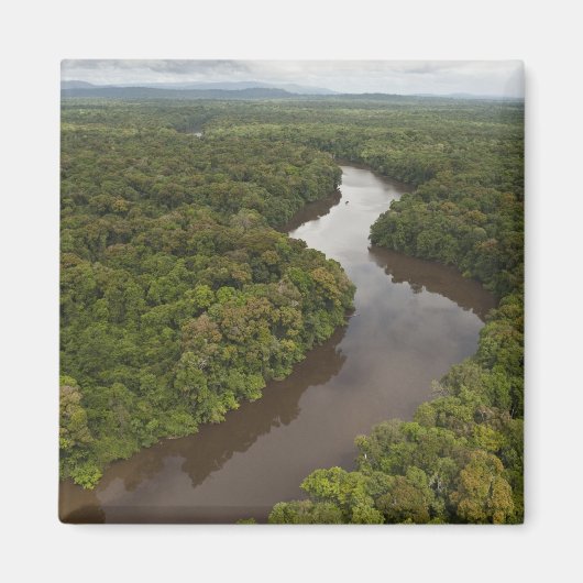 Aimant Rivière Essequibo, plus long fleuve de Guyane, et (Devant)