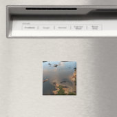 Aimant Rivière Essequibo, rivière la plus longue du Guyan (In Situ (Lave-vaisselle))