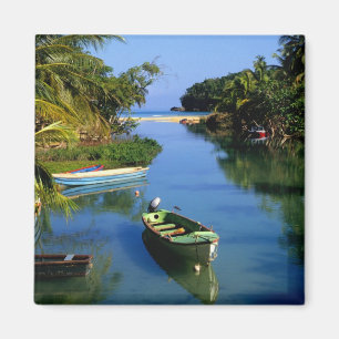 Aimant Rivière panoramique près d'Ocho Rios en Jamaïque