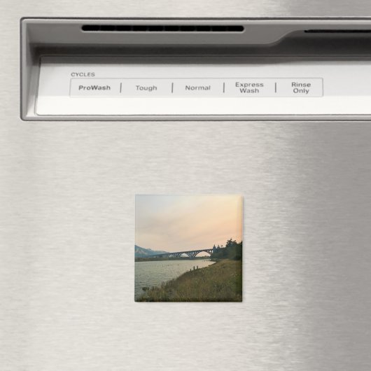 Aimant Rivière Rogue, OU (In Situ (Lave-vaisselle))