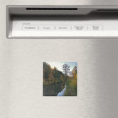 Aimant Rivière Tualatin, Oregon (In Situ (Lave-vaisselle))