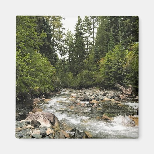 Aimant Rivière Wallowa, OR (Devant)