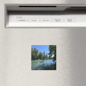 Aimant Rivière Willamette, Oregon (In Situ (Lave-vaisselle))