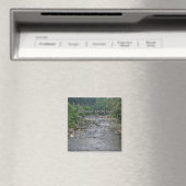 Aimant Rivières de Vie (In Situ (Lave-vaisselle))