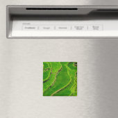 Aimant Rizières (In Situ (Lave-vaisselle))