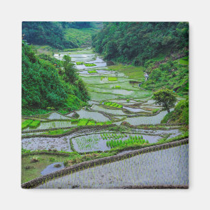 Aimant Rizières de Banaue, Luzon