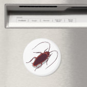 Aimant Roach ! (In Situ (Lave-vaisselle))