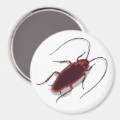 Aimant Roach ! (Recto/Verso)