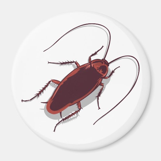 Aimant Roach ! (Devant)