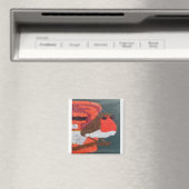 Aimant Robin (In Situ (Lave-vaisselle))
