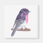 Aimant Robin (Devant)