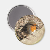 AIMANT ROBIN (Recto/Verso)